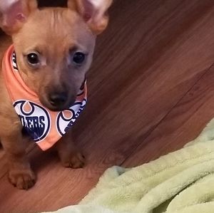 Meet your Posher, Marian